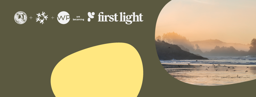 WP is becoming… First Light